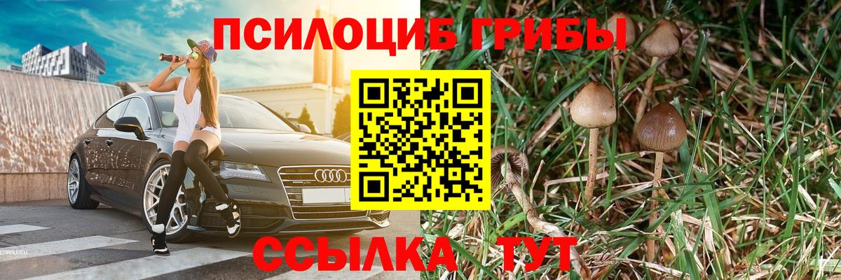 Калач-на-Дону  Галлюциногенные грибы мухоморы  Вход с VPN 